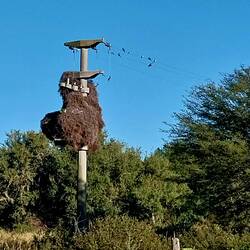 Hier sieht man sie noch besser