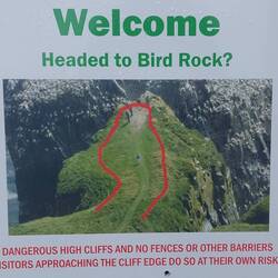 Cape St. Mary's