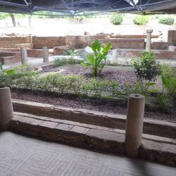 Villa garden
