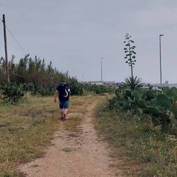Auch der Weg zum Supermarkt geht an vielen Kakteen vorbei...