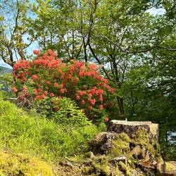 noch mehr unfassbar schönes