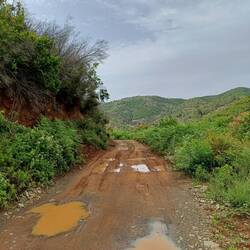 Tolle Strecke die allen Spaß machte