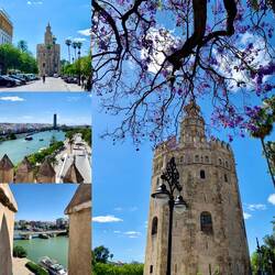 Torre del Oro