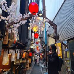 Inside Omoide Yokocho