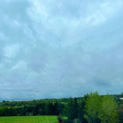 The gorgeous green of spring