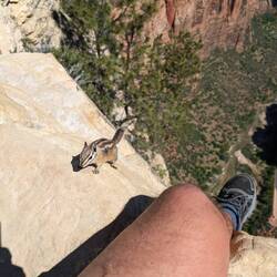 Ihn störts auch nicht ;-)