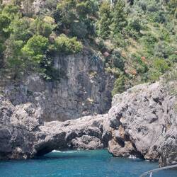 Two elephant's with trunks entwined