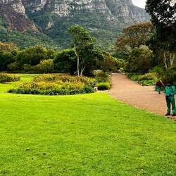 Kirstenbosch National Botanic Garden