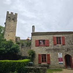 Forest information centre