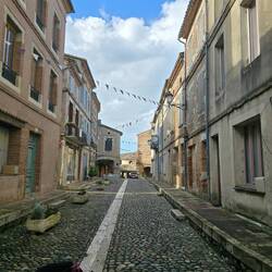 Niska loves exploring smells and sounds of the village