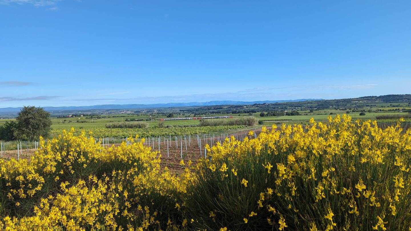 Les pays de l'Hérault