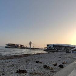 die Hunde chillen am Strand