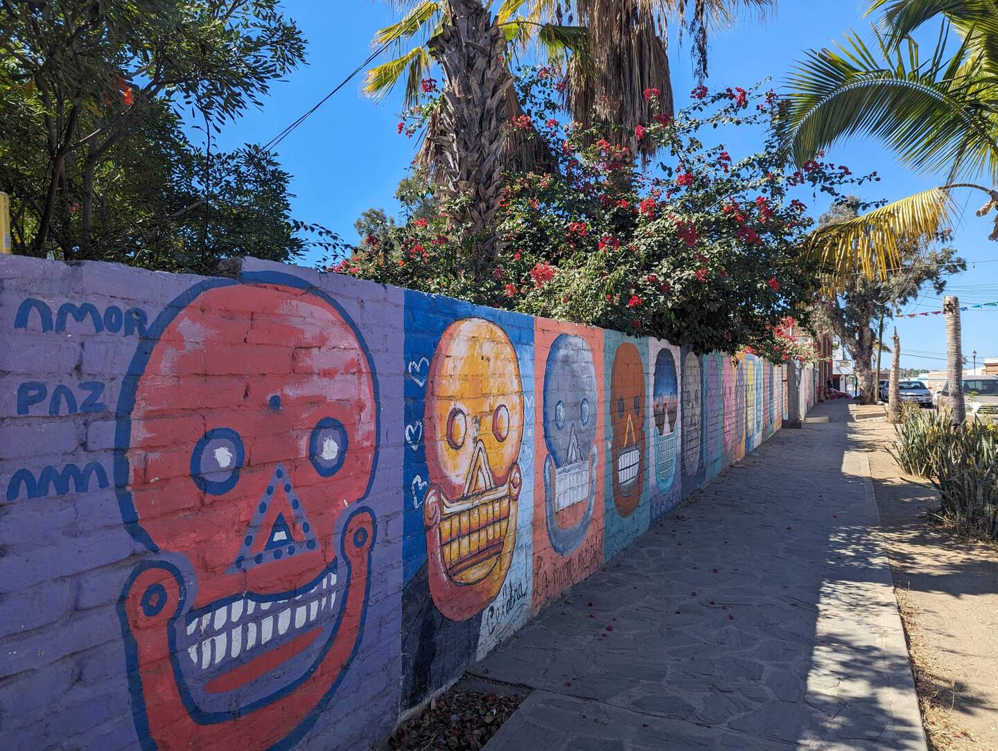 Some of the cool street art in Todos Santos