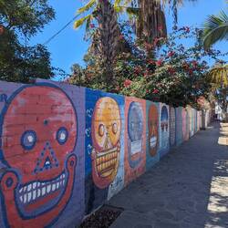 Some of the cool street art in Todos Santos