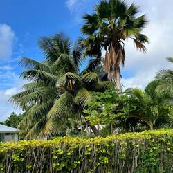 Impressionen von unterwegs 🌴