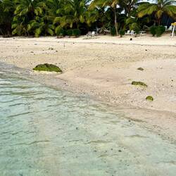 Man sieht uns praktisch nicht