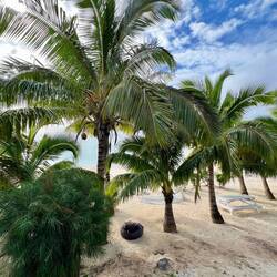 Blick von der Veranda