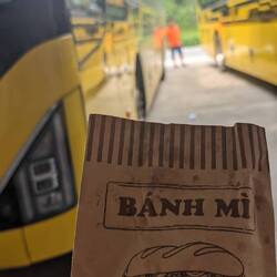 Bus essentials
