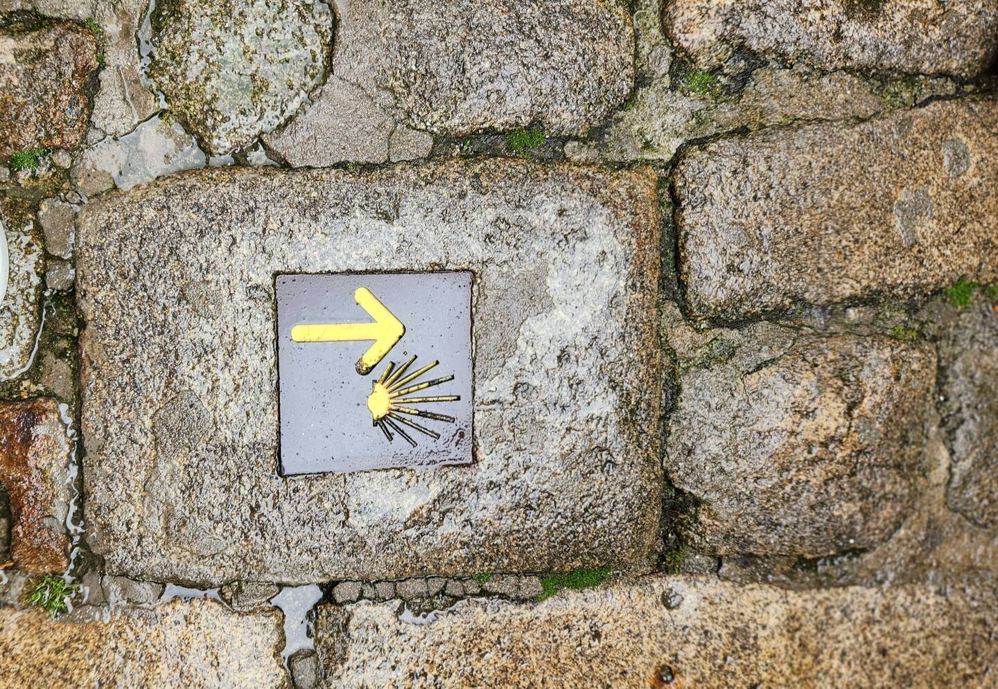 Camino Trail markers