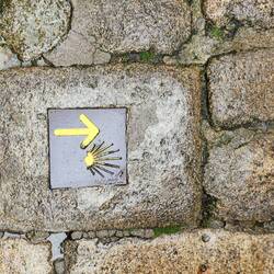 Camino Trail markers