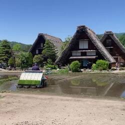 Bit quicker than planting by hand.