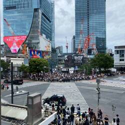 Shibuya Crossing