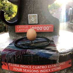 I am an eggspert 🤓