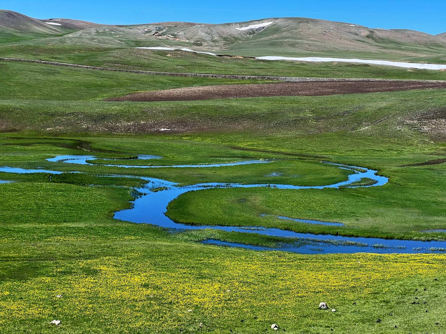 Beautiful colours on the upper plains