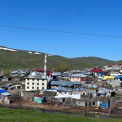 Mountain village with old and new houses and plenty of dung!