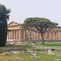 The Temple of Neptune, also believed to have been dedicated to Hera, Apollo and Athena
