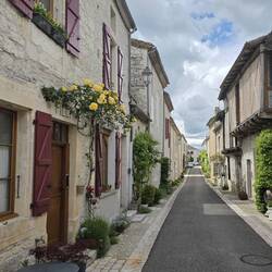 Lots of flowers and planting on the houses
