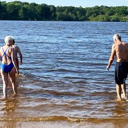 Einfelder Icebergers: say 15 deg and peat- brown