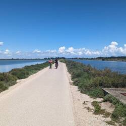 Canal du Rhône à Sète