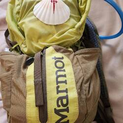The Camino shell that distinguishes the pilgrims