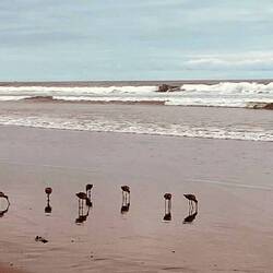 Familienausflug am Strand