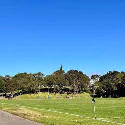 here you can see different rugby teams playing