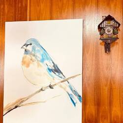 2 Tage im Bluebird Inn