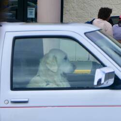 Ich fahr dann schon mal