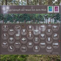 How long do things take to decay in the forest...