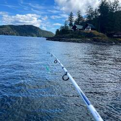 Deze plug is inmiddels ook pleiten