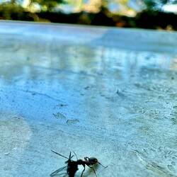 Ein strahlender Sieger.