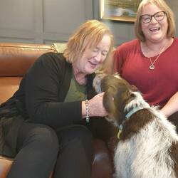 Gorgeous puppies and niece!