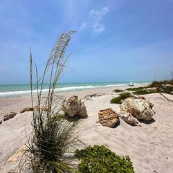 Ist der Strand nicht ein Traum?