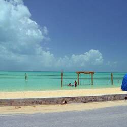 The swings and hammock from Seaside Breeze.