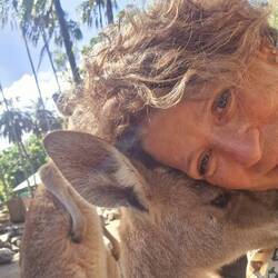 ich liebe die Kängurus und werde sie sehr vermissen 🦘🦘🦘🦘🦘🦘🫶