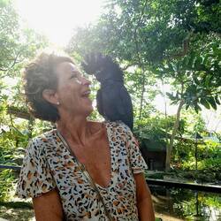 Kakadu ,Max' begleitet mich ein stückchen auf meinem Rungang im wunderschönen Zoo Wildlife Habitat