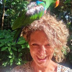 gerade zugeflogen🦜🤣