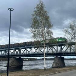 Hier wird ein ganzer Wald von A nach B transportiert