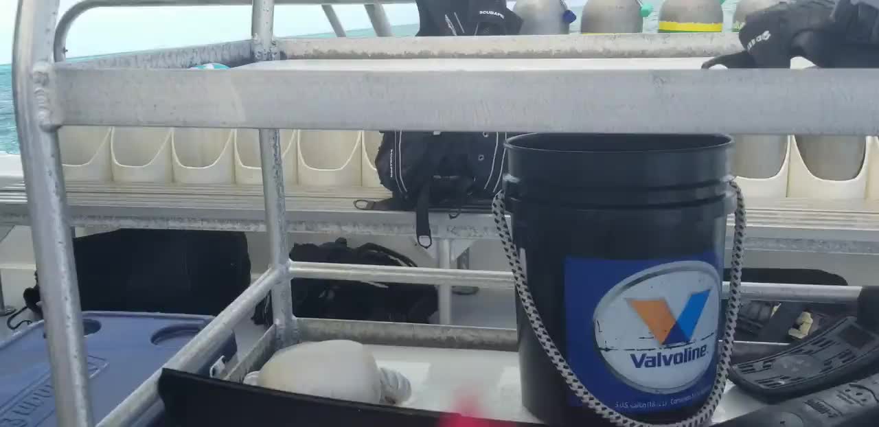 Some clips from our diving. Not too much to see, as we were busy with re-activation activities.