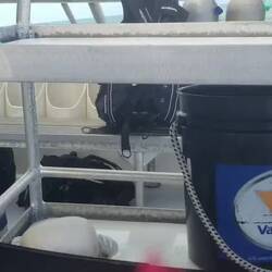 Some clips from our diving. Not too much to see, as we were busy with re-activation activities.